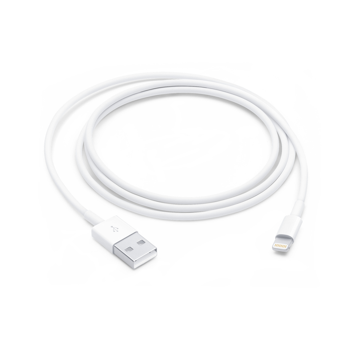 Picture of Apple Lightning to USB Cable (1m)