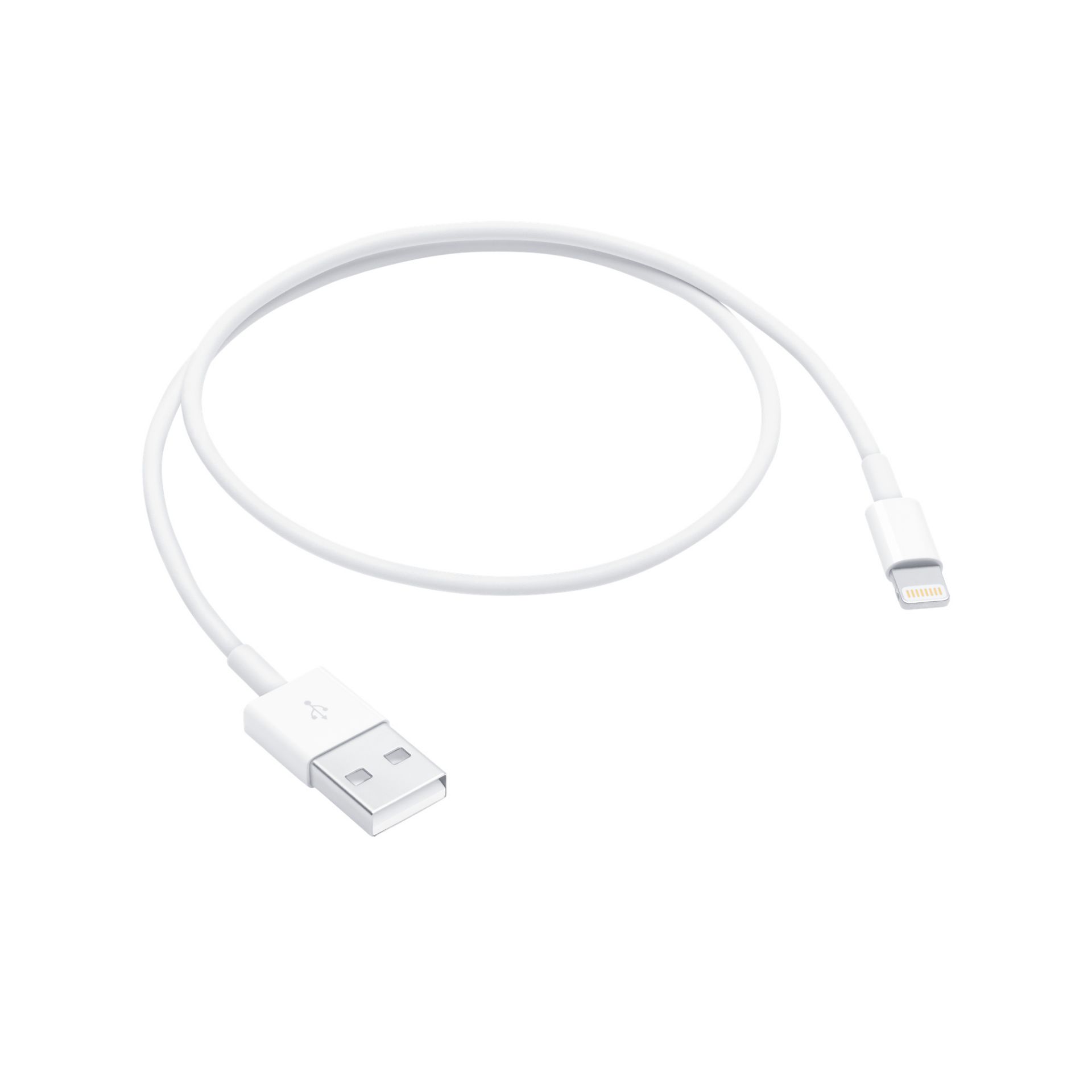 Picture of Apple Lightning to USB Cable (0.5m)