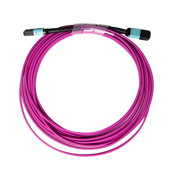 Picture of DYNAMIX 5M OM4 MPO ELITE Trunk Multimode Fibre Cable. POLARITY C Crossed Trunk Cable Made with ELITE ELITE Low Loss Female Connectors