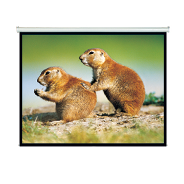 Picture of BRATECK 150' Projector Screen, Manual Self Locking, Matte Finish