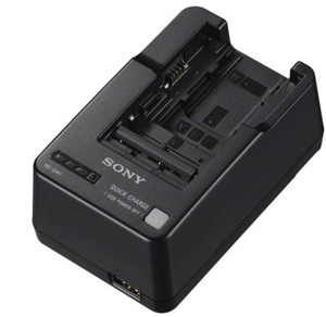 Picture of Sony BCQM1 Charger W M V H P Series Batteries