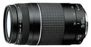 Picture of Canon EF 75-300mm f/4-5.6 III EF Mount Lens