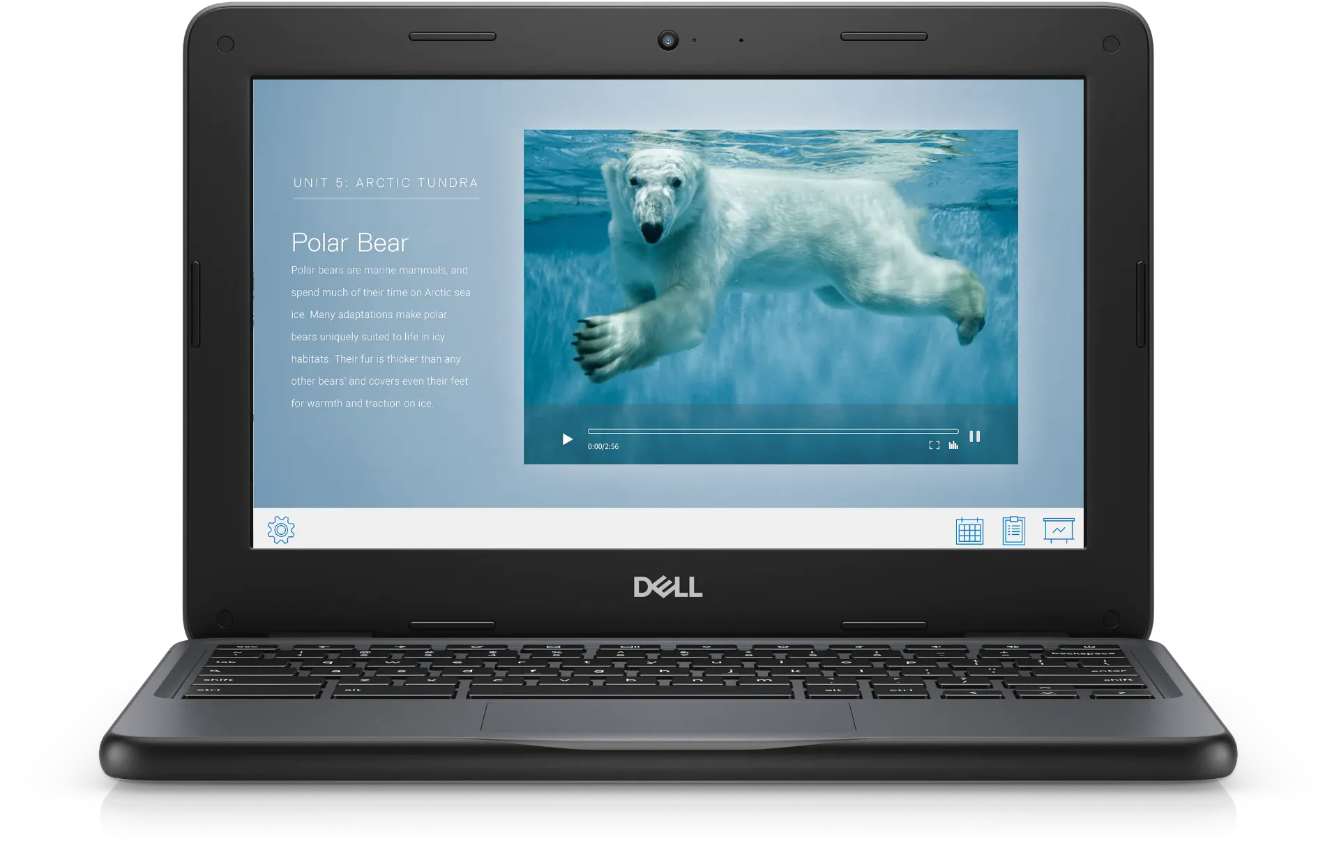 Picture of Dell Chromebook 3100 [11.6", Celeron, 4GB, 32GB, Chrome]